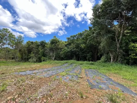Lot 5 Km 2.5 Carretera 856 Carolina PR 00987