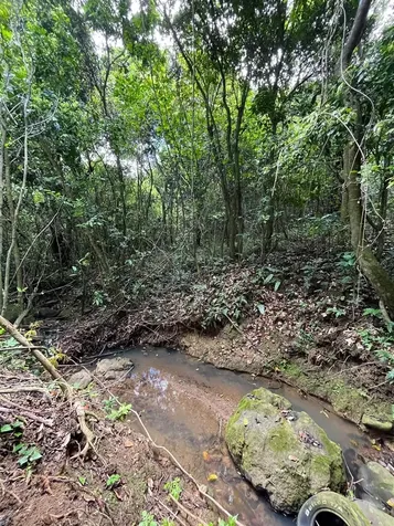 Lot 5 Km 2.5 Carretera 856 Carolina PR 00987
