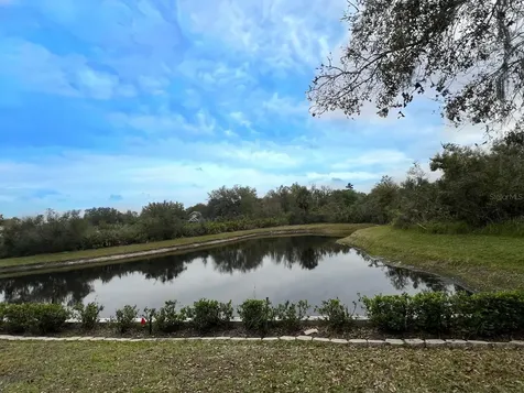18111 Sugar Brooke Drive Tampa FL 33647