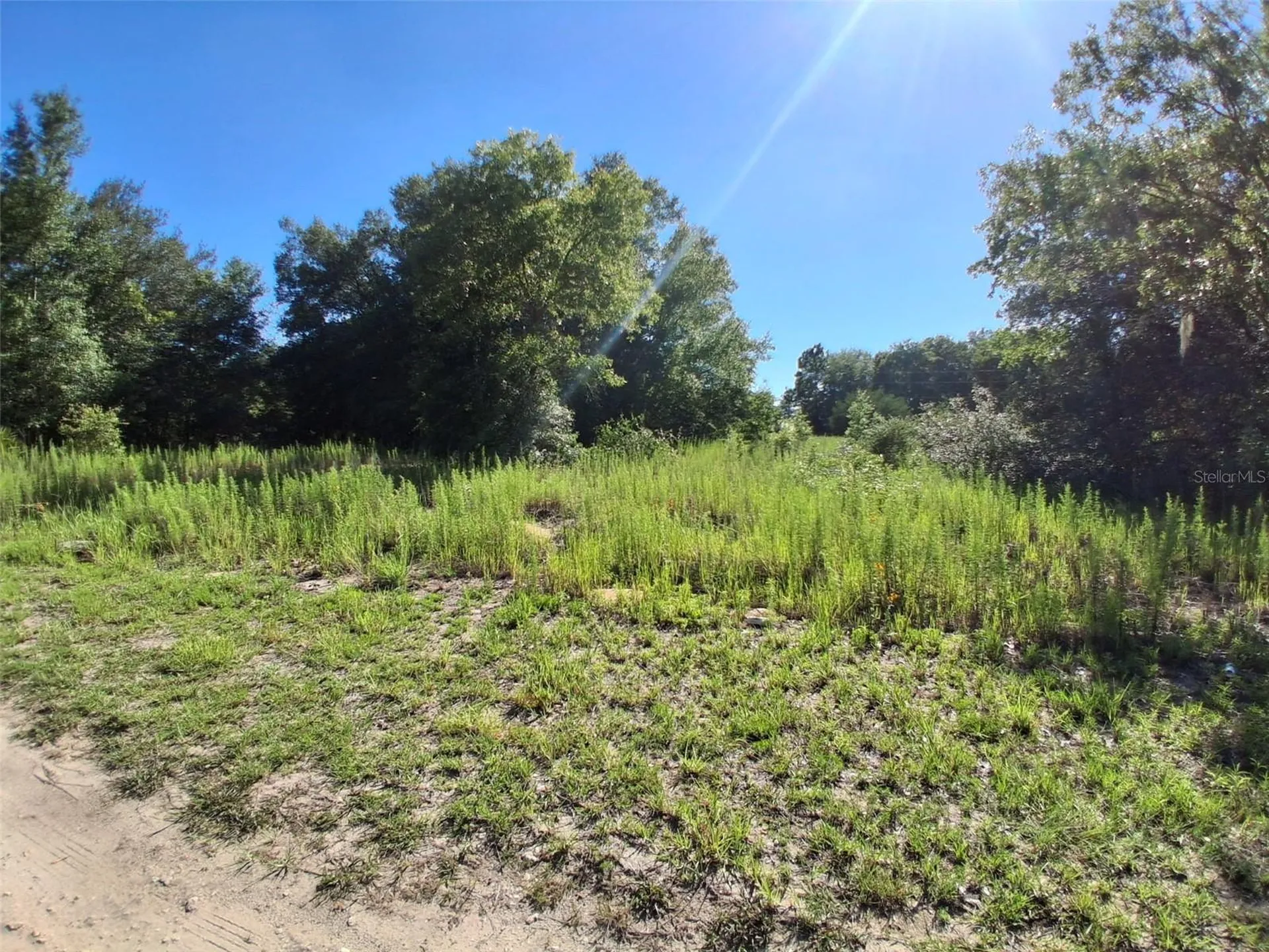 Tbd SW 146th Avenue Ocala FL 34481