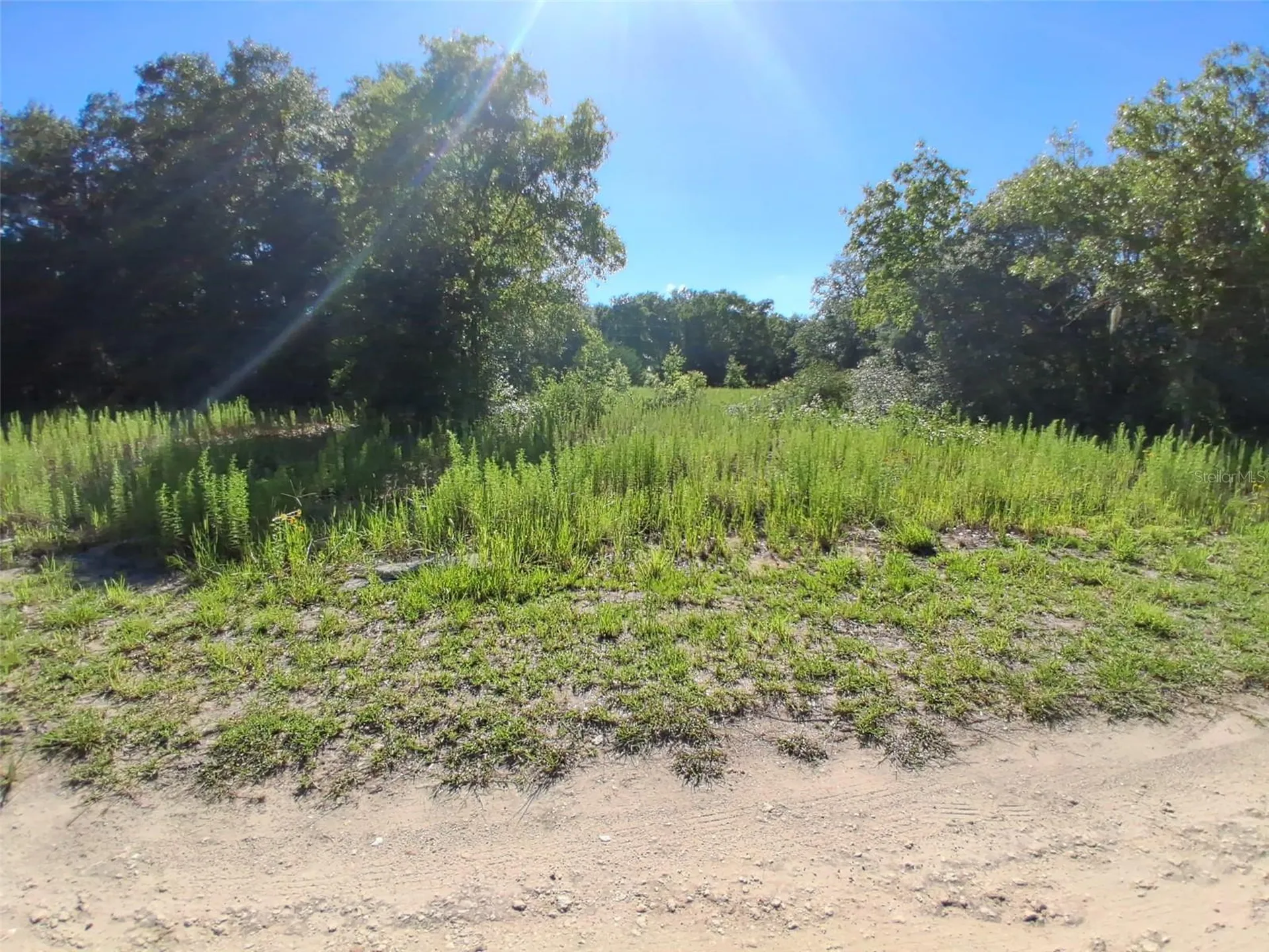 Tbd SW 146th Avenue Ocala FL 34481