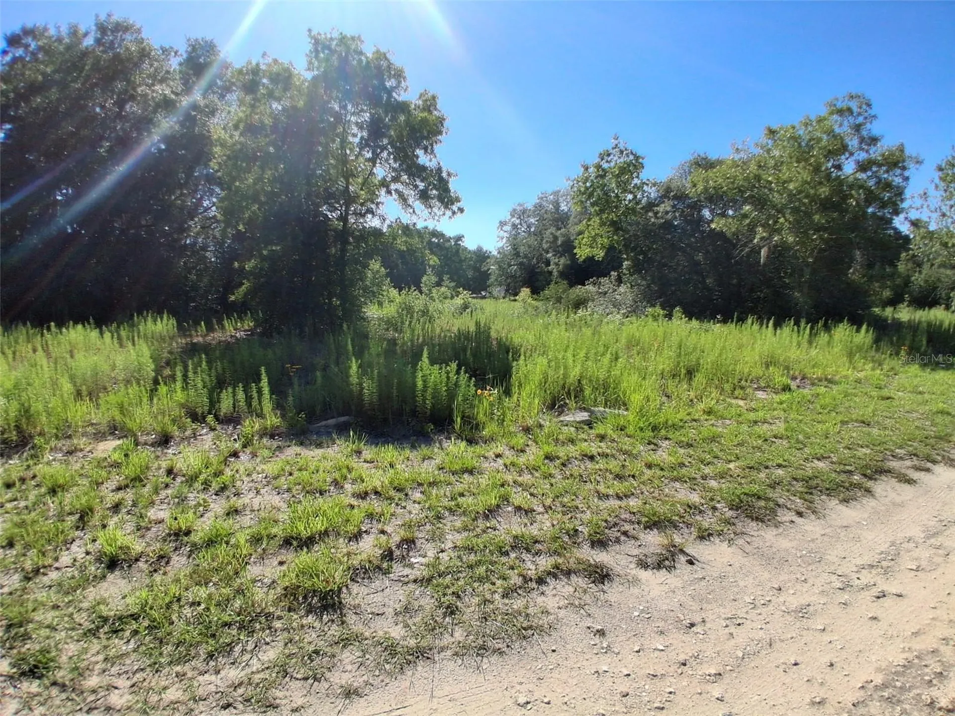 Tbd SW 146th Avenue Ocala FL 34481