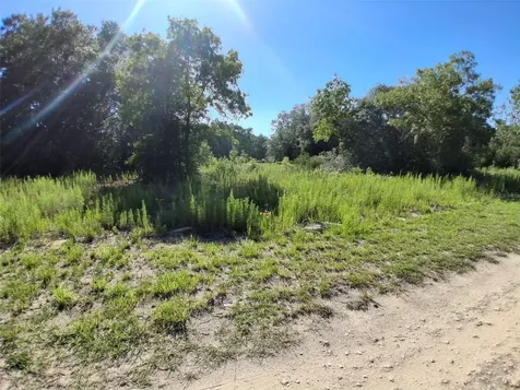 Tbd SW 146th Avenue Ocala FL 34481