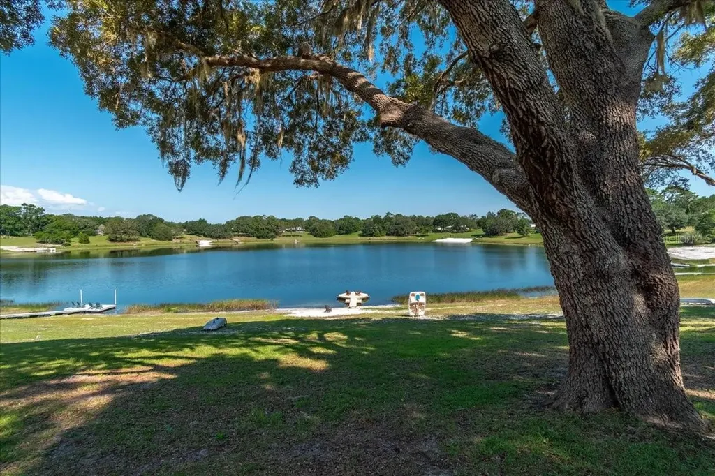 10522 SE 146th Terrace Road Ocklawaha FL 32179