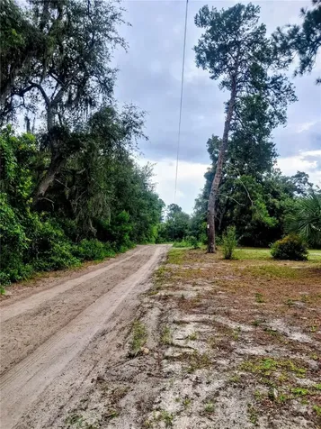 44137 Jeffrey Road Deland FL 32720