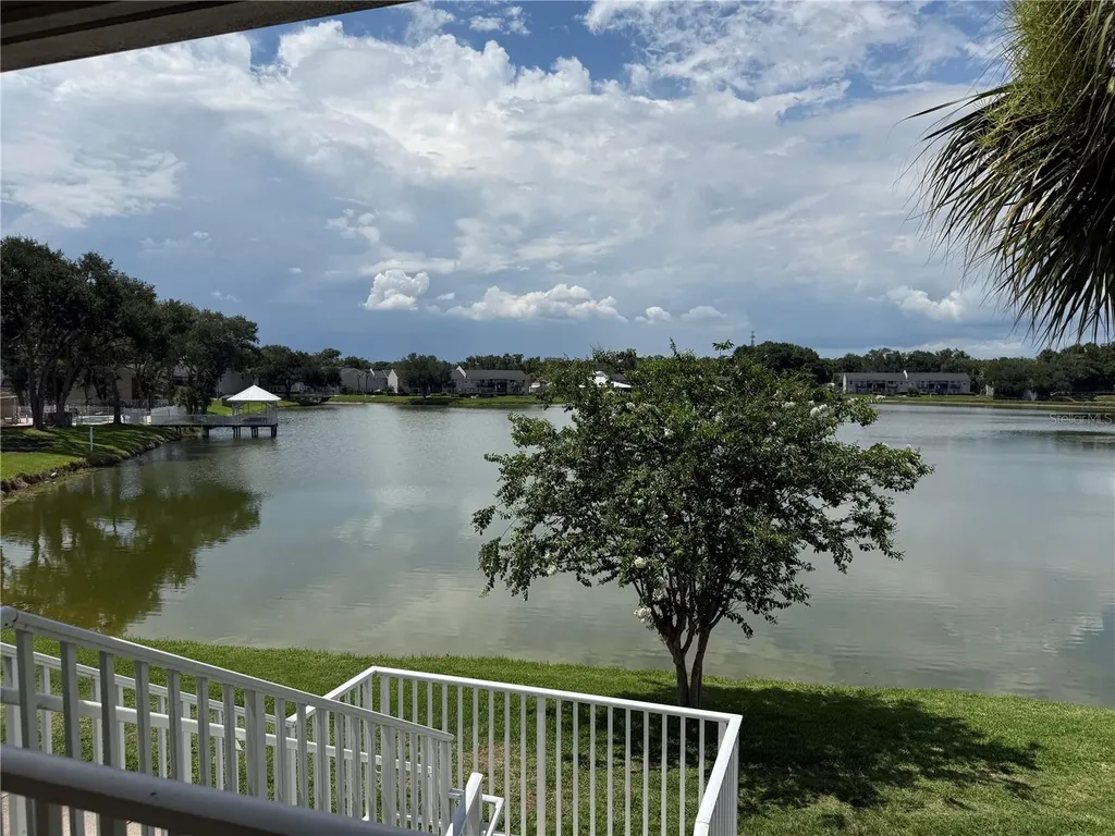 220 Lake Parsons Green Brandon FL 33511