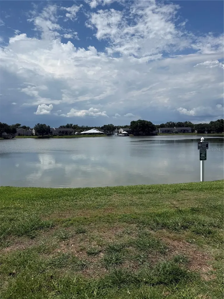 220 Lake Parsons Green Brandon FL 33511