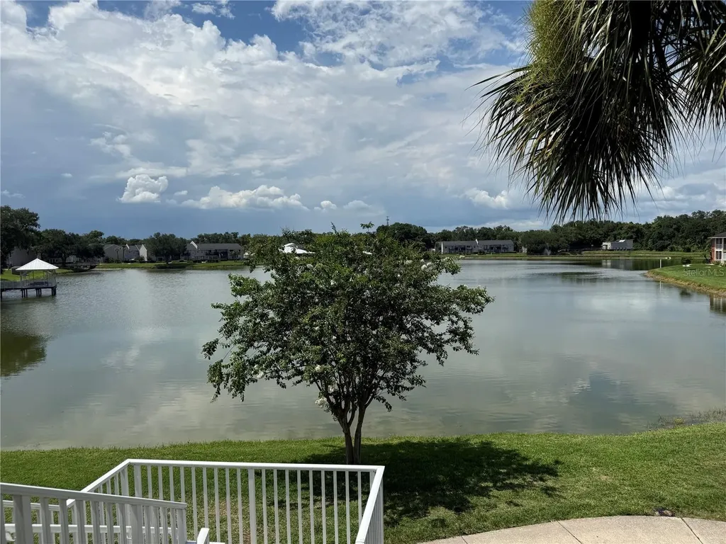220 Lake Parsons Green Brandon FL 33511