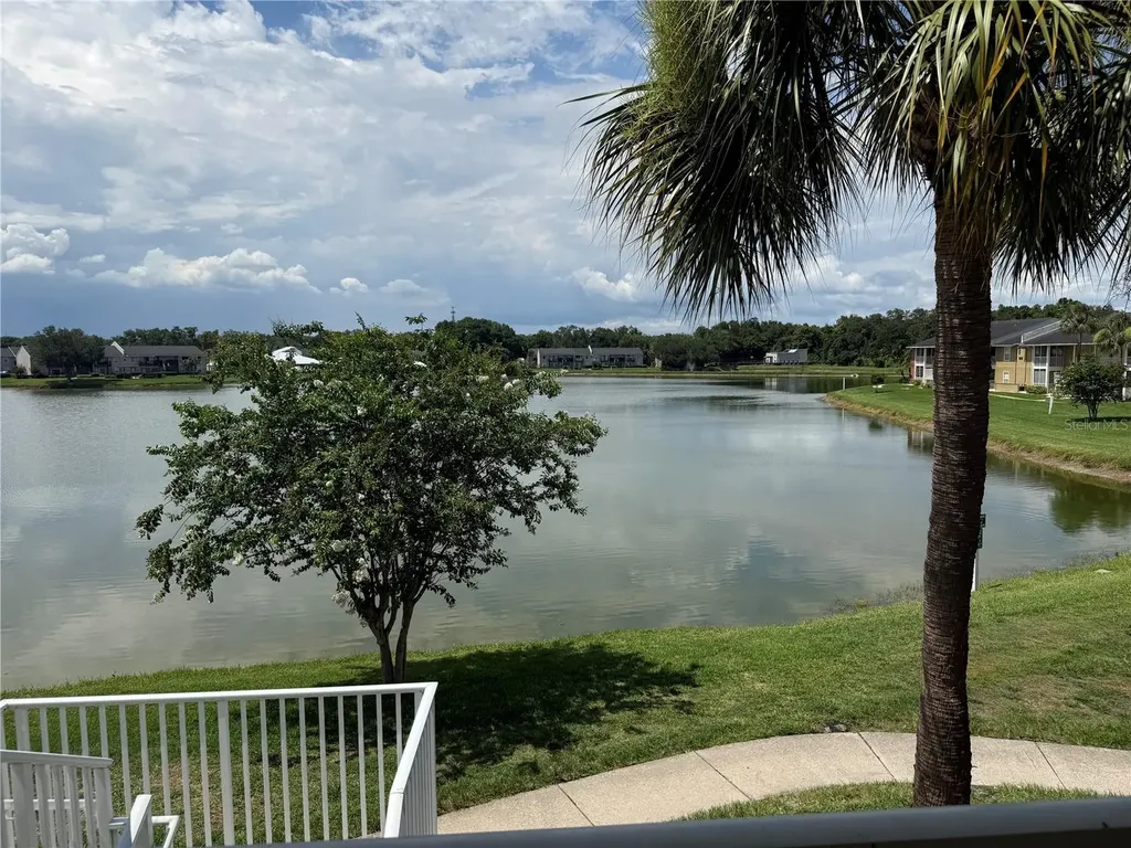 220 Lake Parsons Green Brandon FL 33511