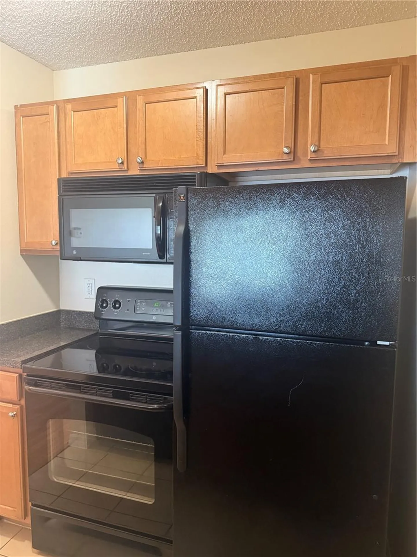 220 Lake Parsons Green Brandon FL 33511