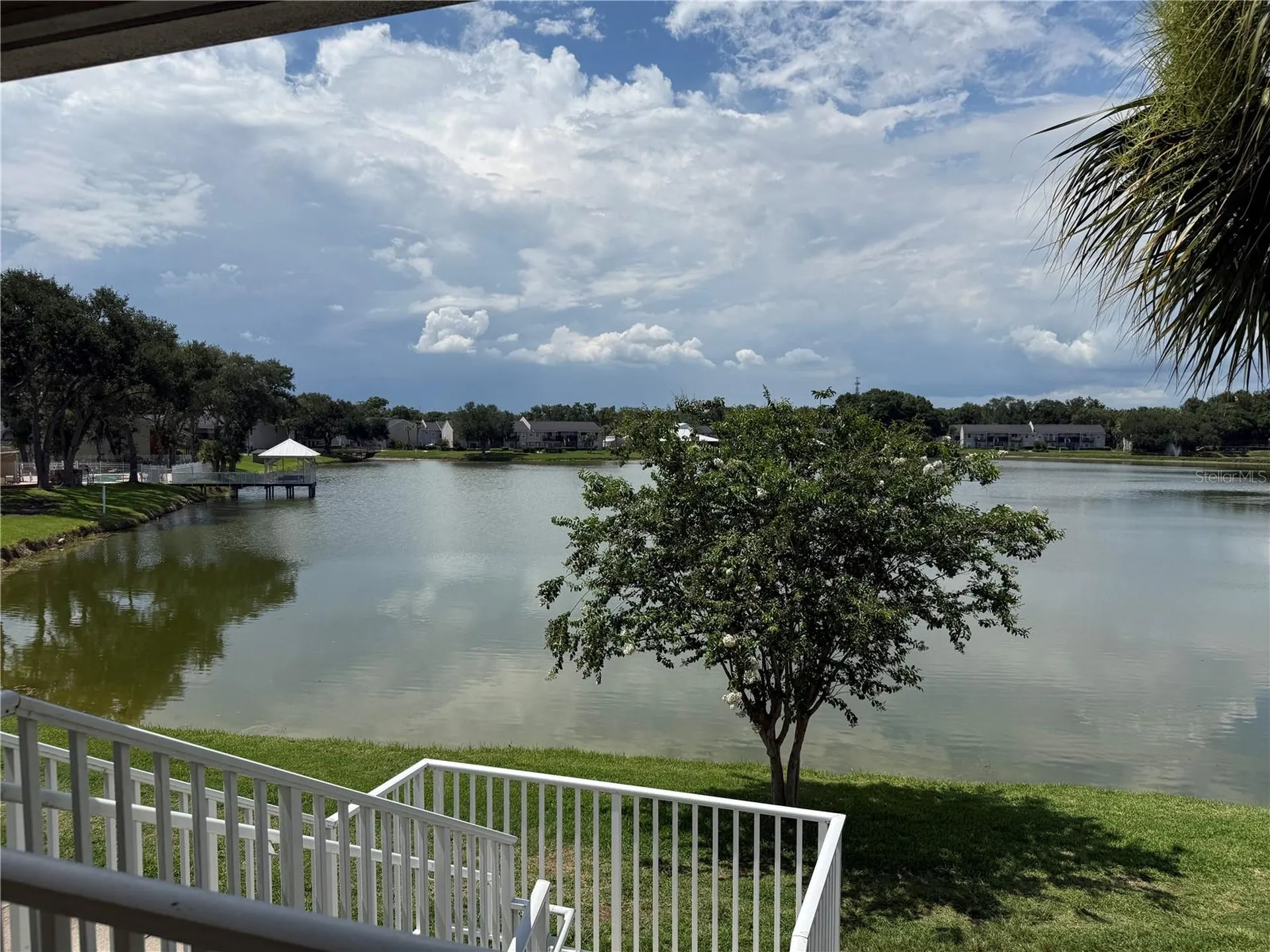 220 Lake Parsons Green Brandon FL 33511