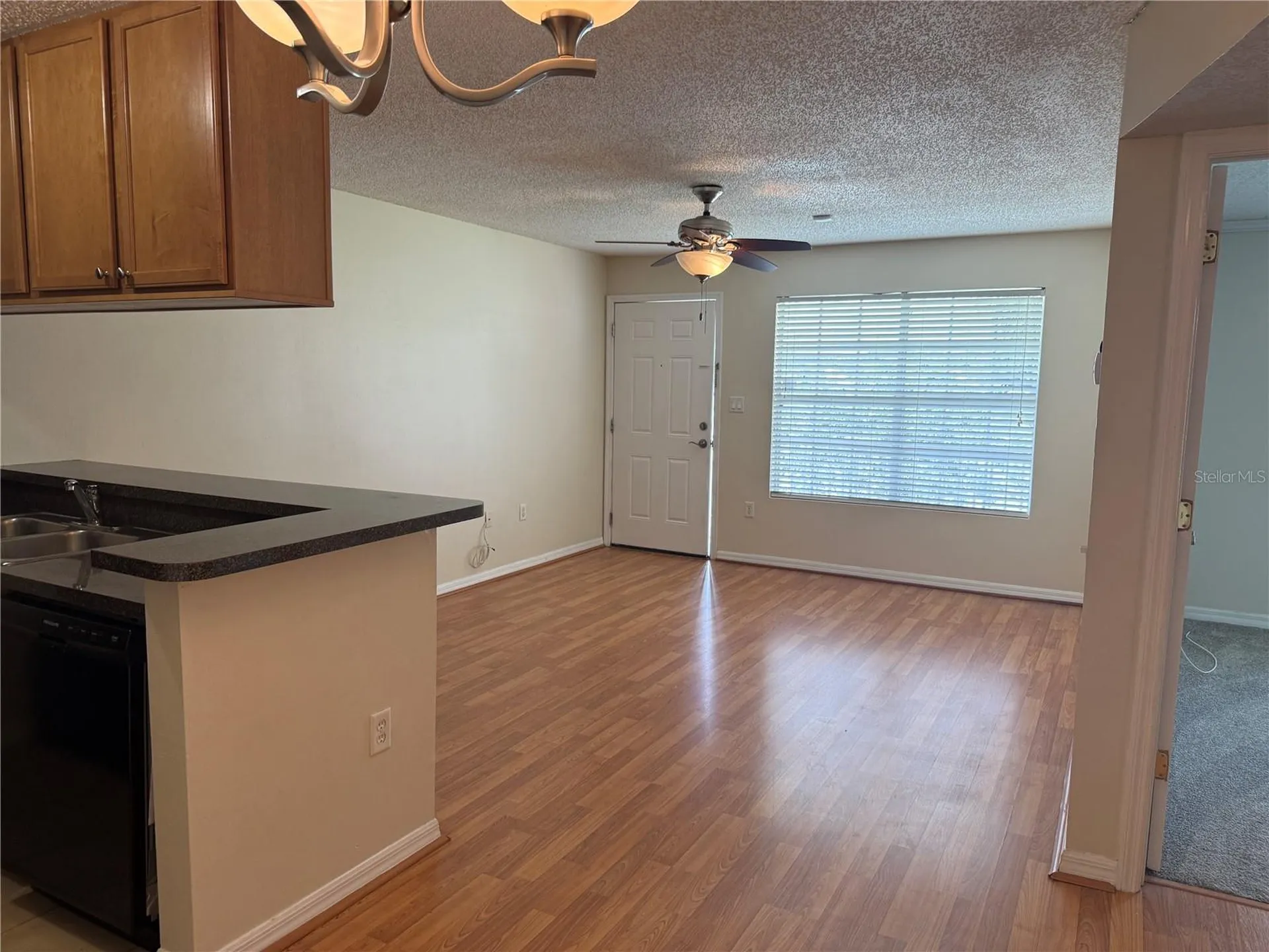 220 Lake Parsons Green Brandon FL 33511