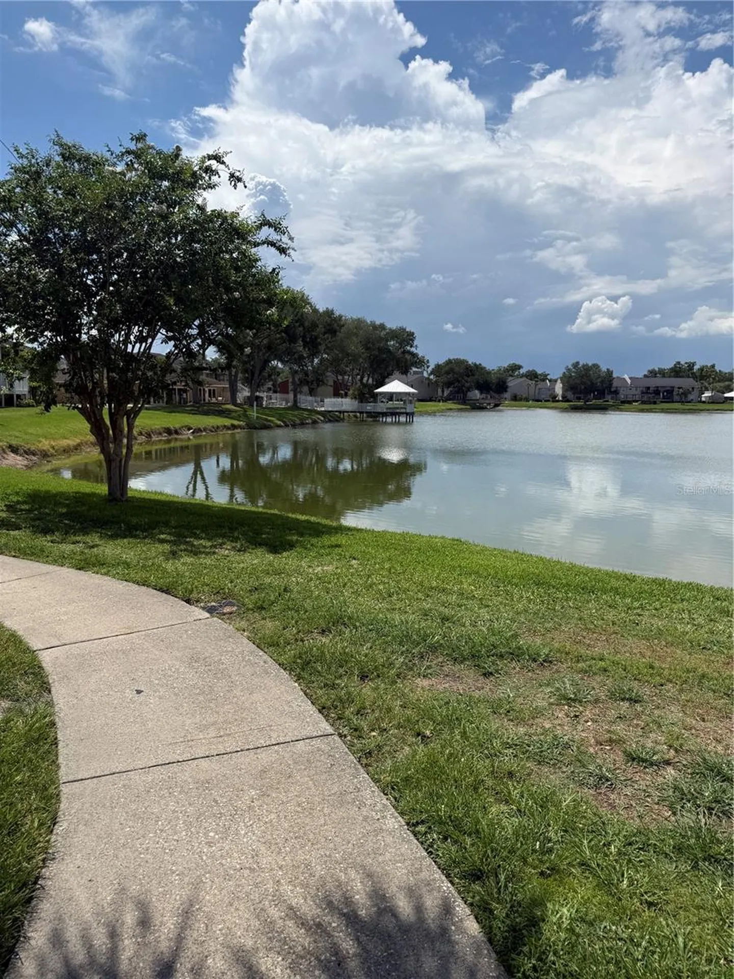 220 Lake Parsons Green Brandon FL 33511