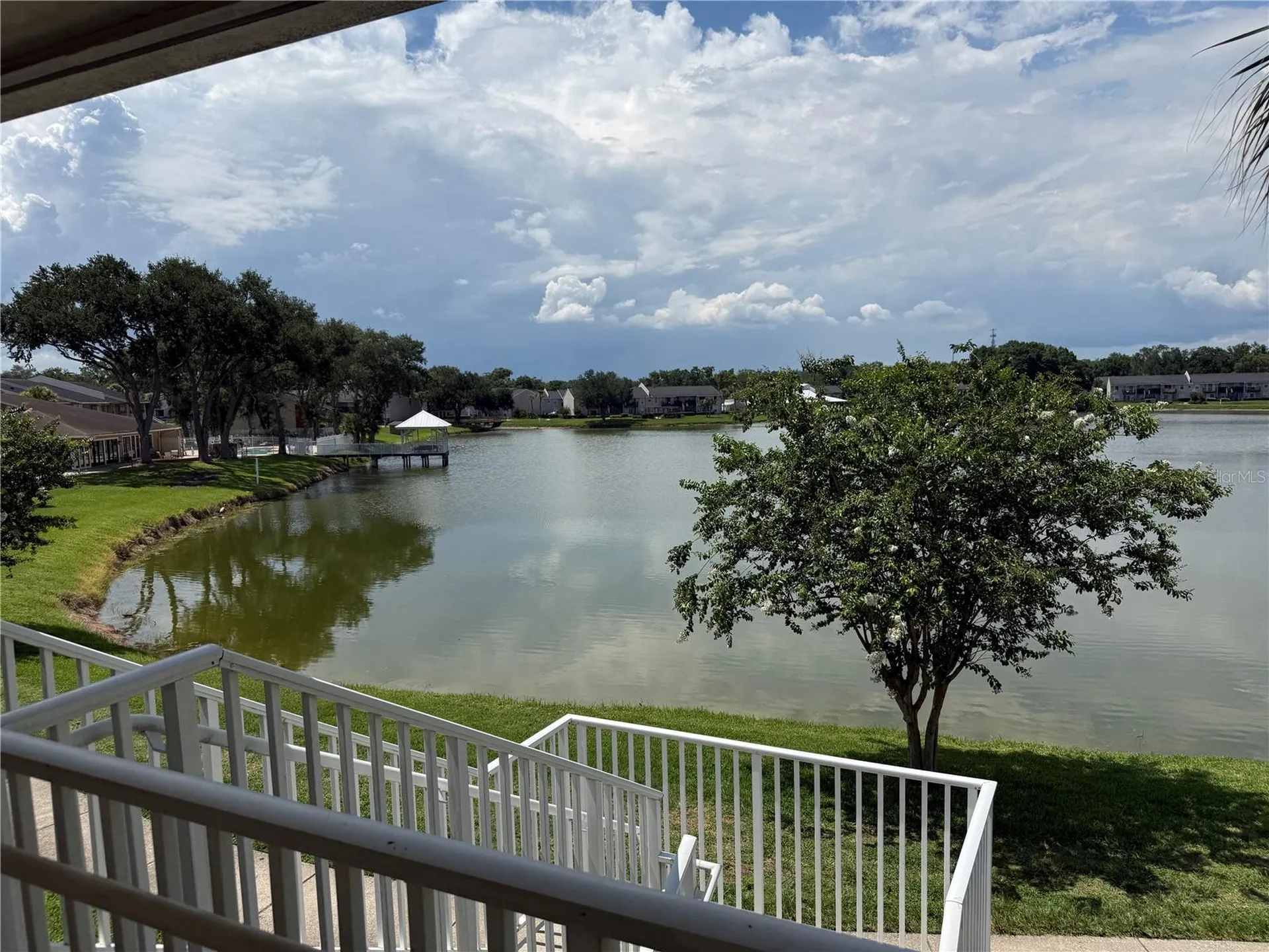 220 Lake Parsons Green Brandon FL 33511