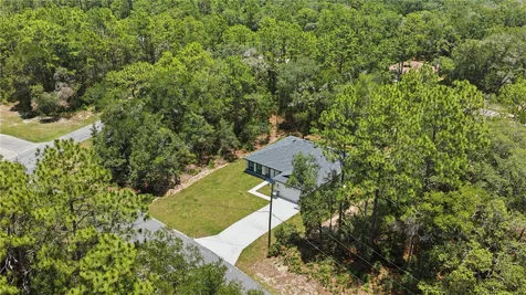 10735 N Malva Way Drive Citrus Springs FL 34434
