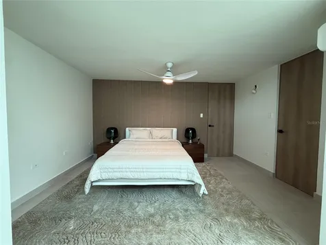 241 Camino Del Jaguey Dorado PR 00646