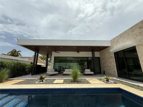 241 Camino Del Jaguey Dorado PR 00646