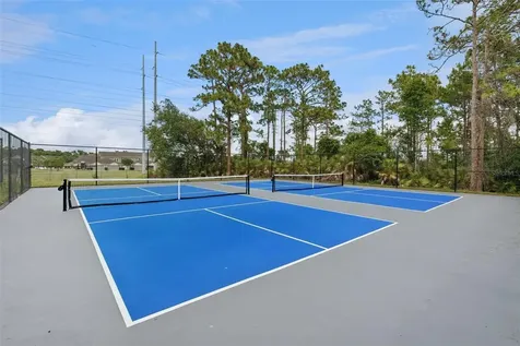 14172 Amelia Island Way Orlando FL 32828