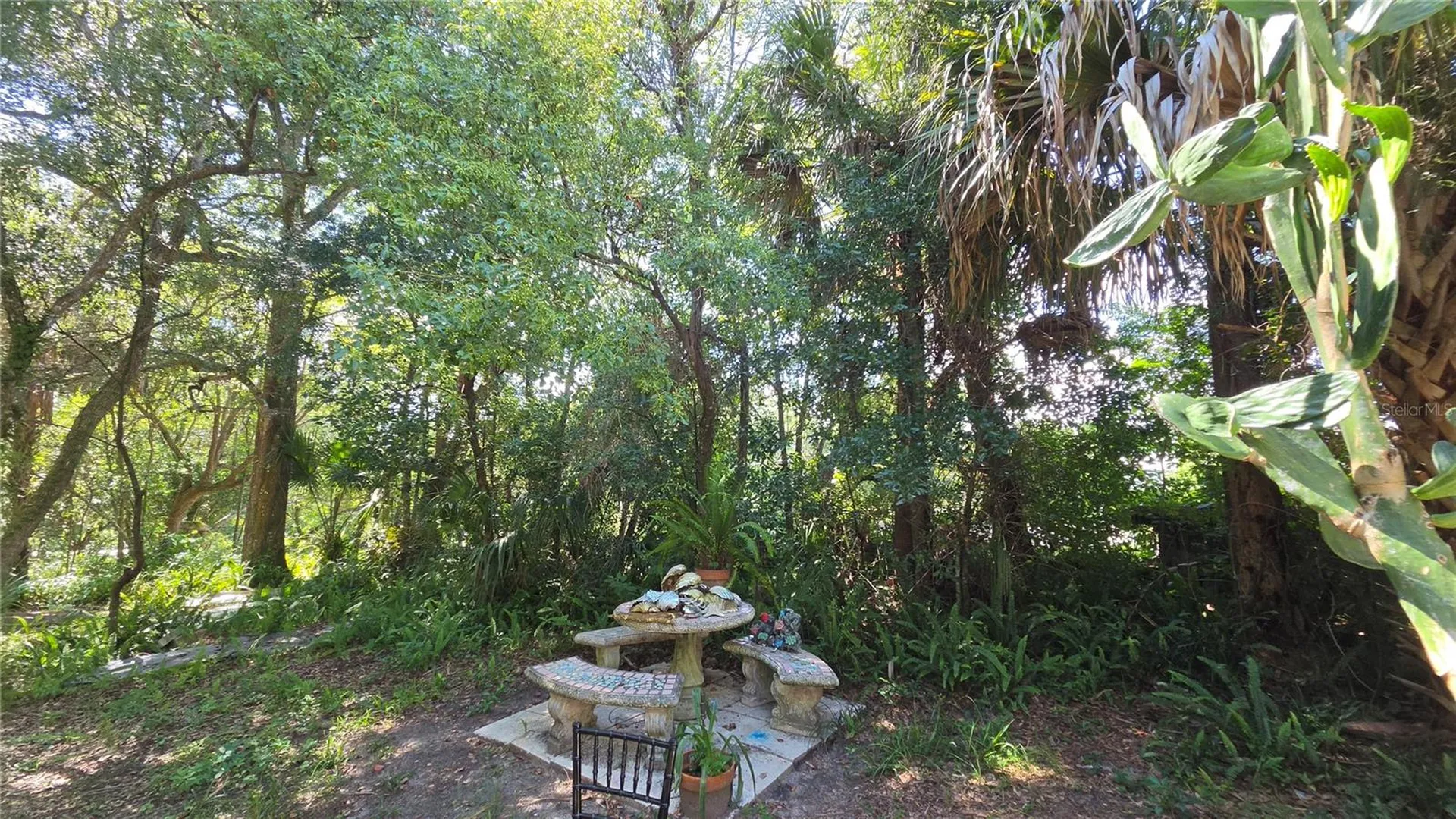 236 N Amelia Avenue Deland FL 32724