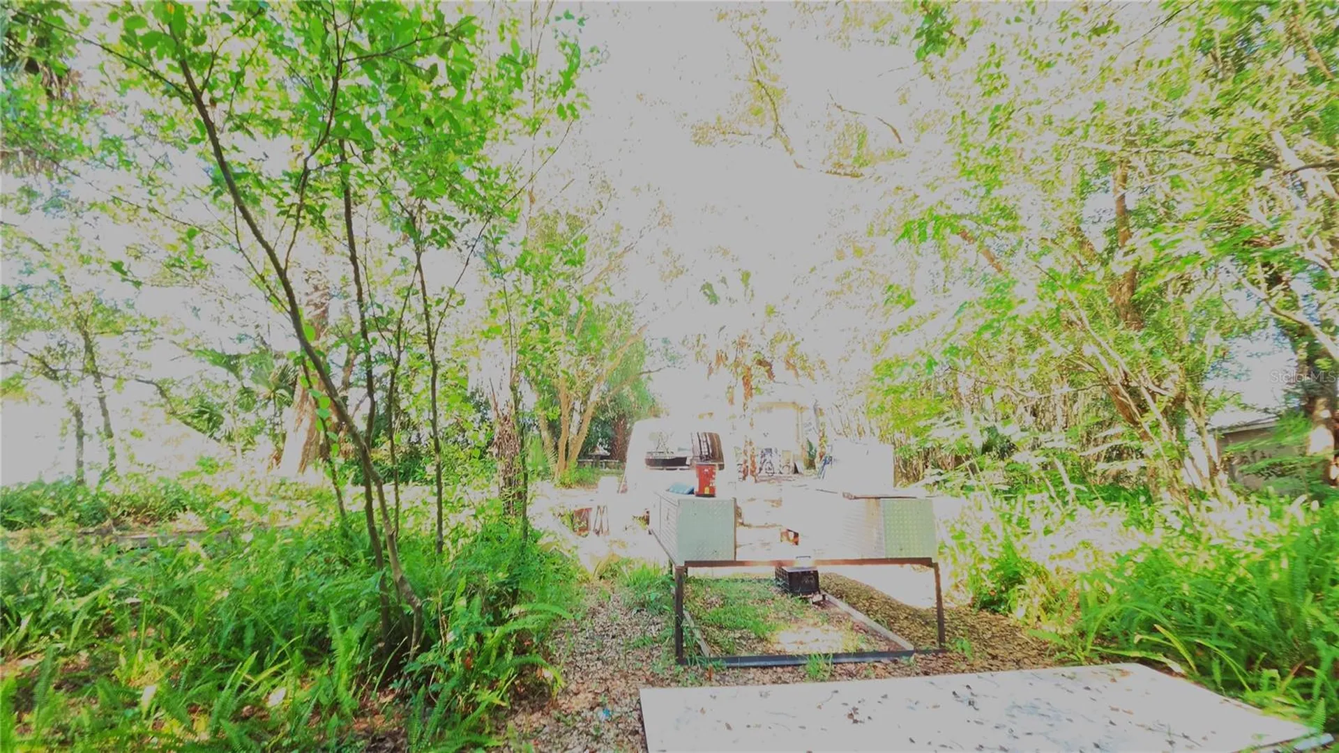 236 N Amelia Avenue Deland FL 32724