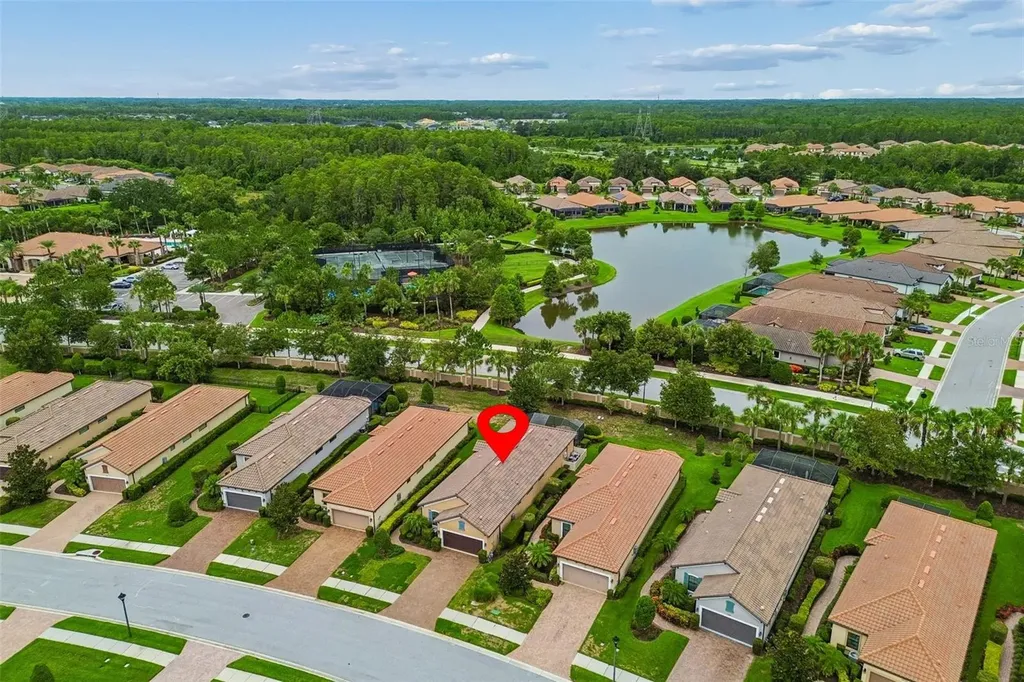 11503 Callisia Drive Odessa FL 33556