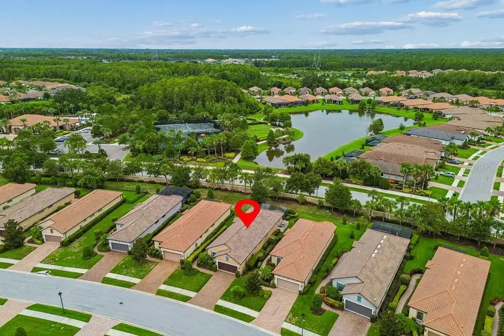 11503 Callisia Drive Odessa FL 33556