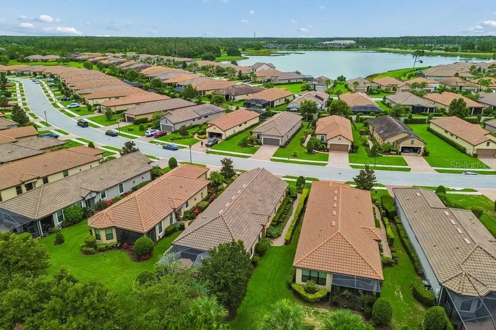 11503 Callisia Drive Odessa FL 33556