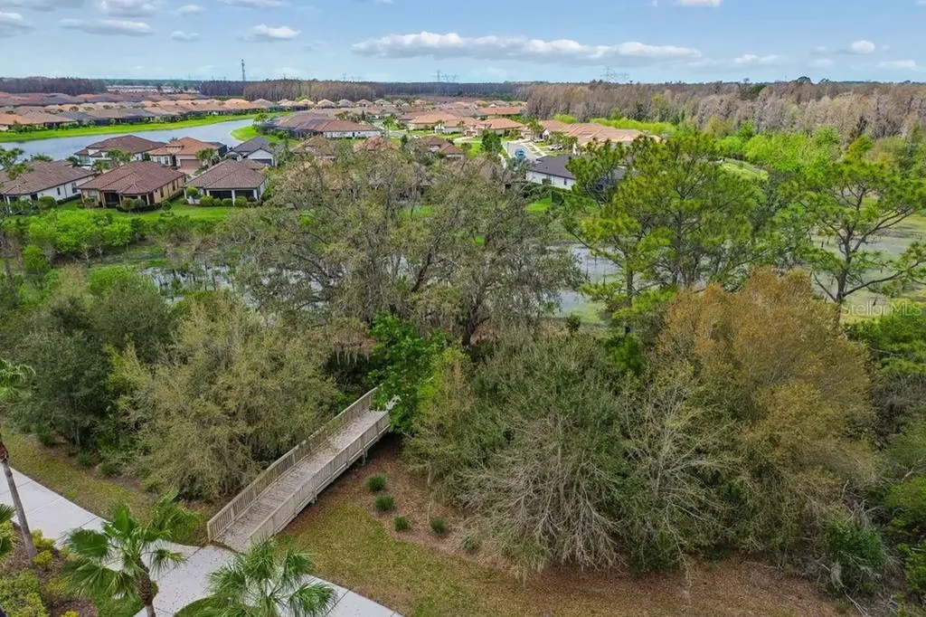 11503 Callisia Drive Odessa FL 33556