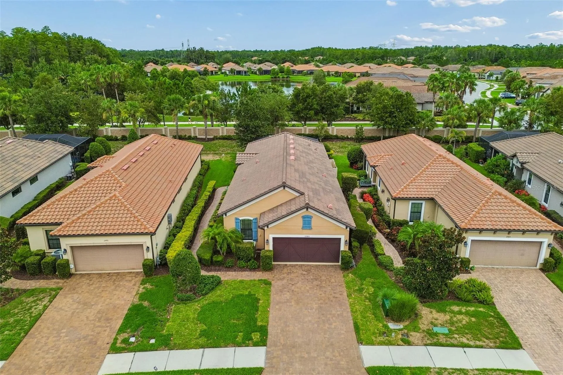 11503 Callisia Drive Odessa FL 33556