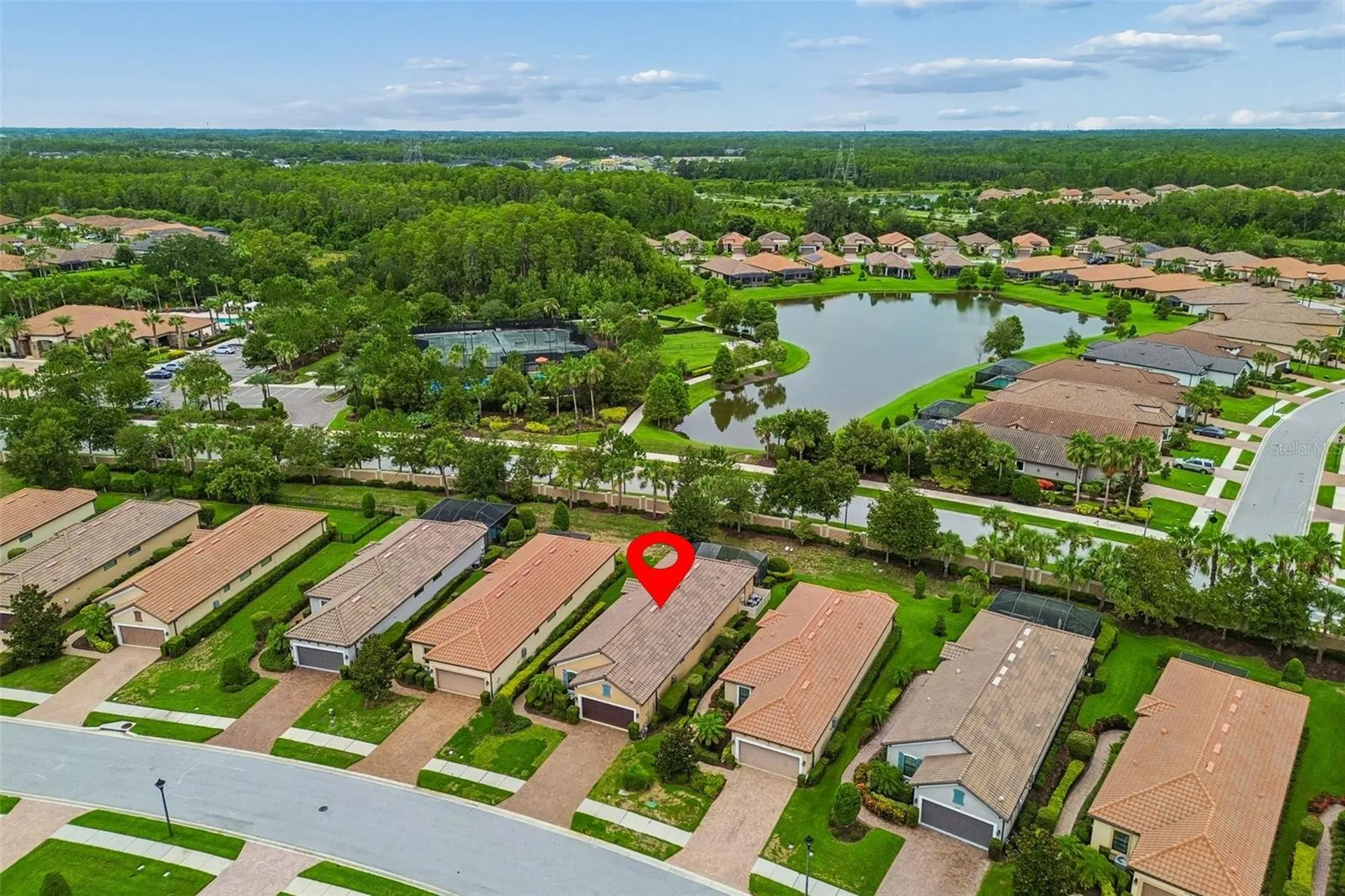 11503 Callisia Drive Odessa FL 33556