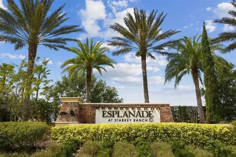 11503 Callisia Drive Odessa FL 33556