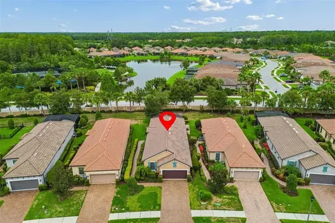 11503 Callisia Drive Odessa FL 33556