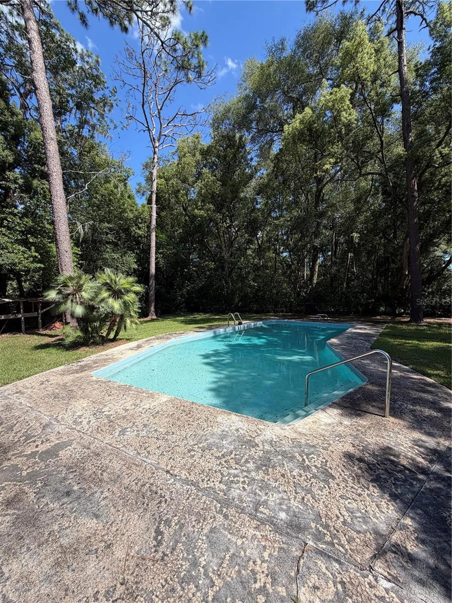 4506 NE 11th Street Ocala FL 34470