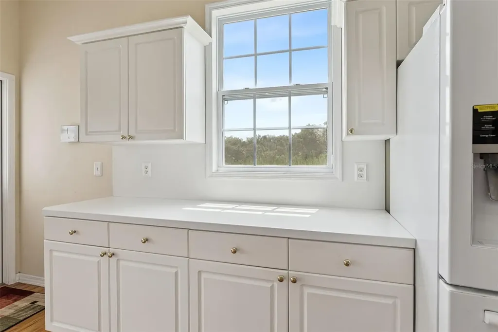 25895 Tilly Hawk Lane Brooksville FL 34602