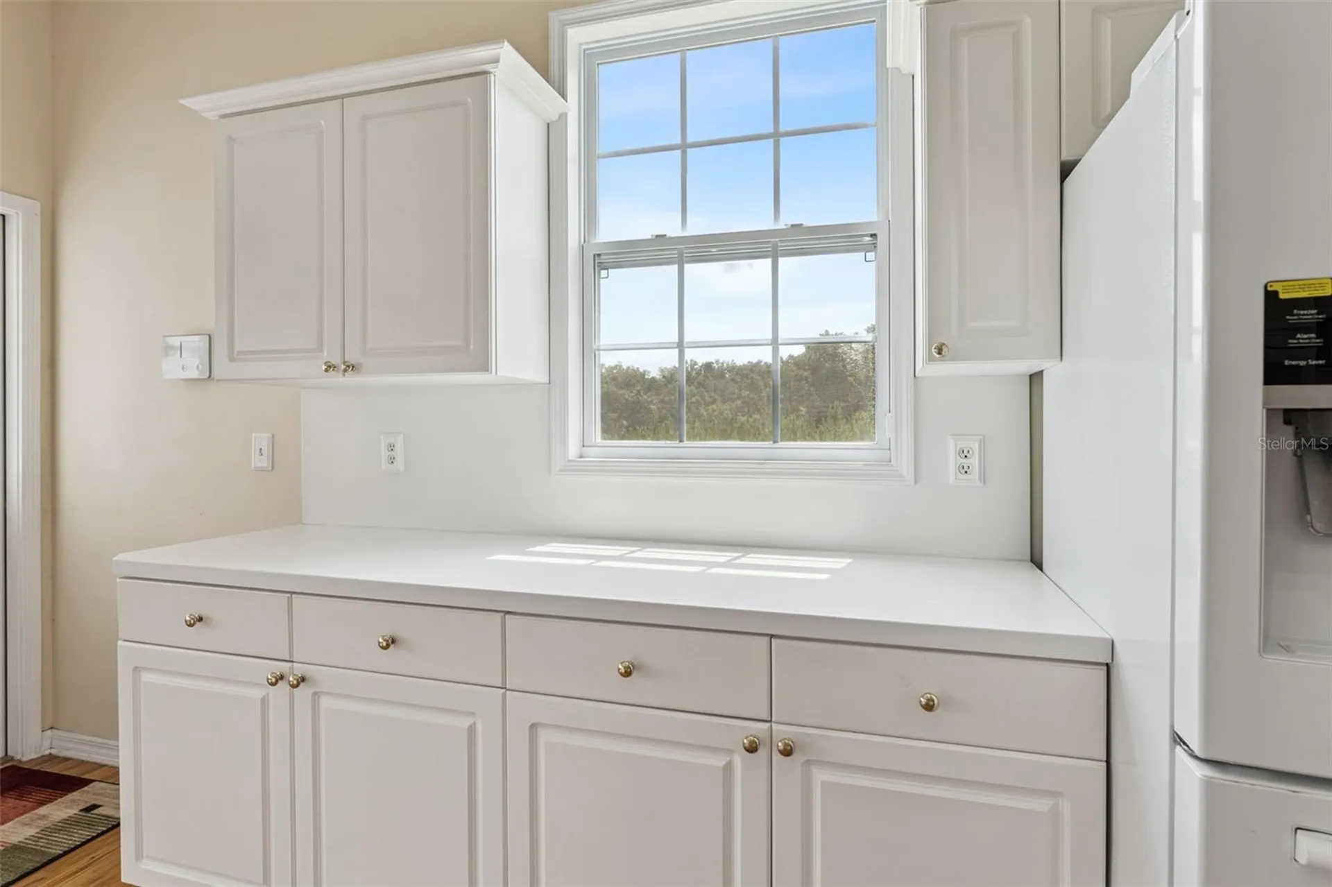 25895 Tilly Hawk Lane Brooksville FL 34602
