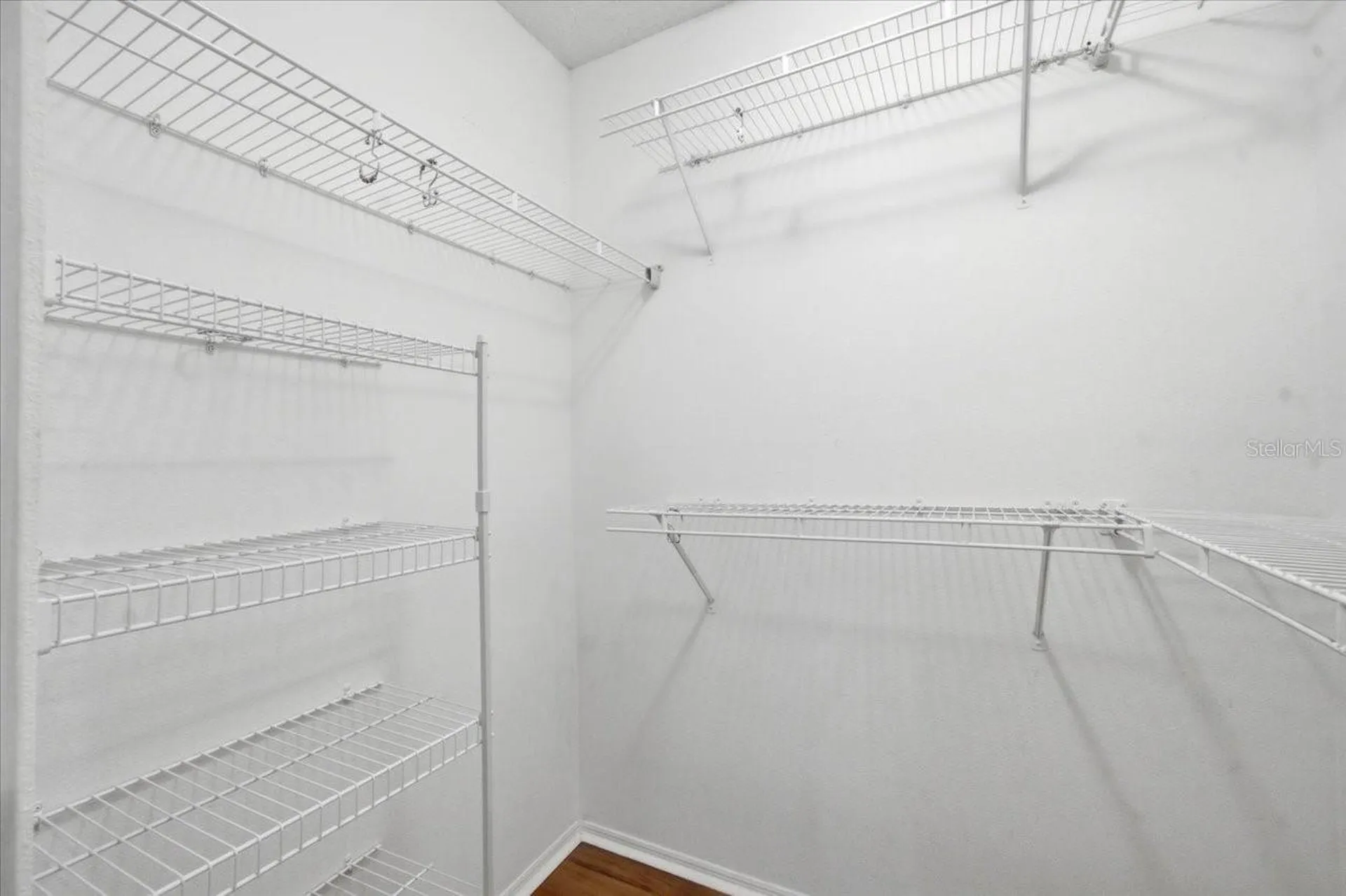 4532 Wild Plum Lane Lutz FL 33558