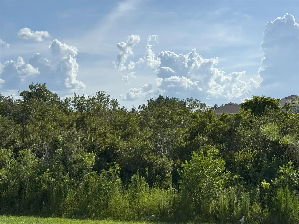 2113 Warren Acres Boulevard Wesley Chapel FL 33543