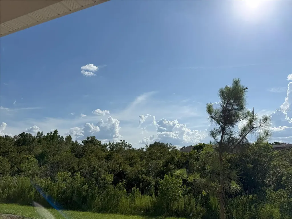 2113 Warren Acres Boulevard Wesley Chapel FL 33543