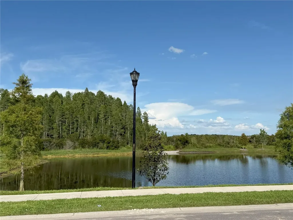 2113 Warren Acres Boulevard Wesley Chapel FL 33543