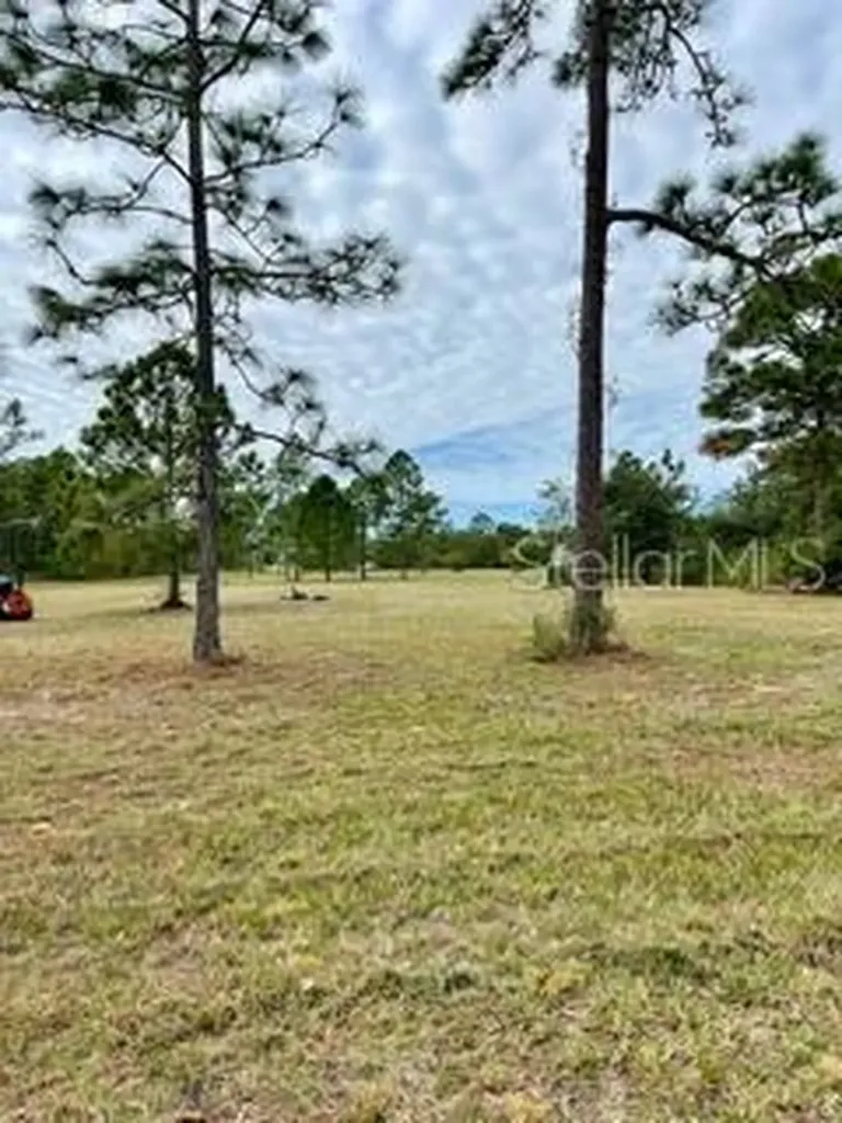 Caesar Avenue Orlando FL 32833
