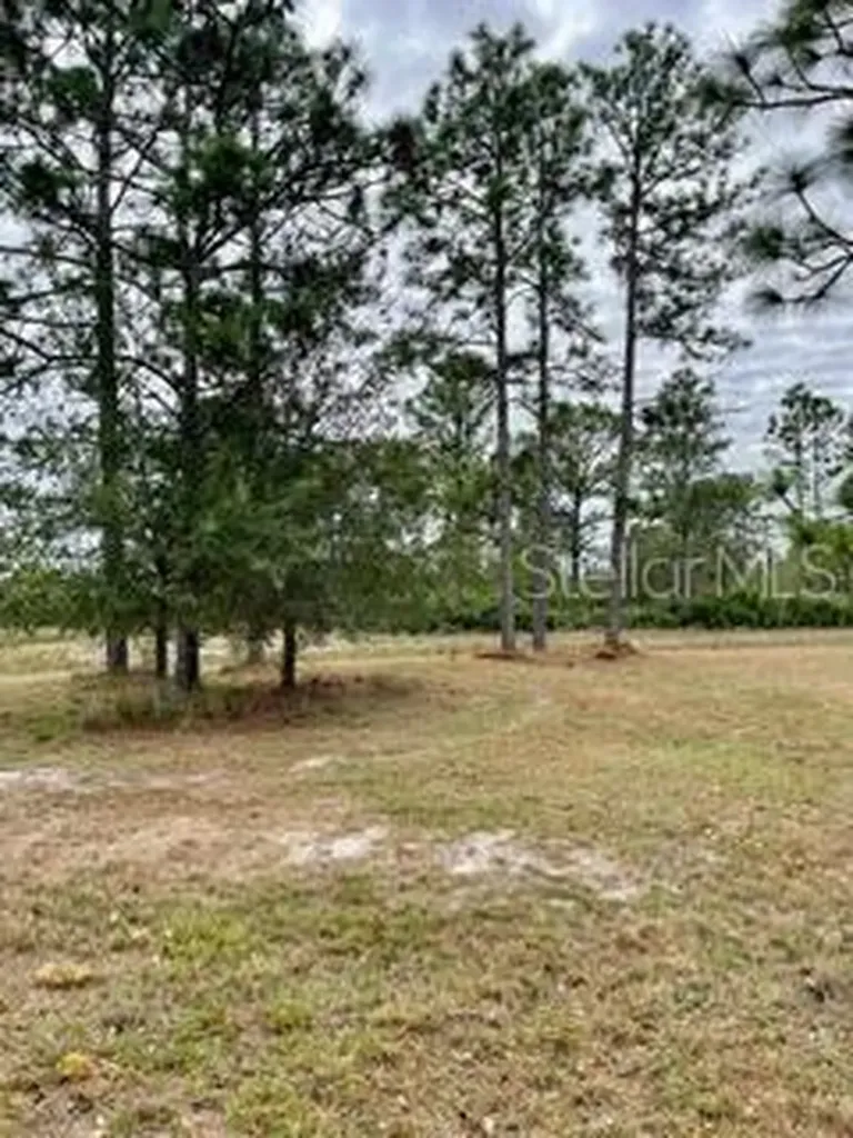 Caesar Avenue Orlando FL 32833