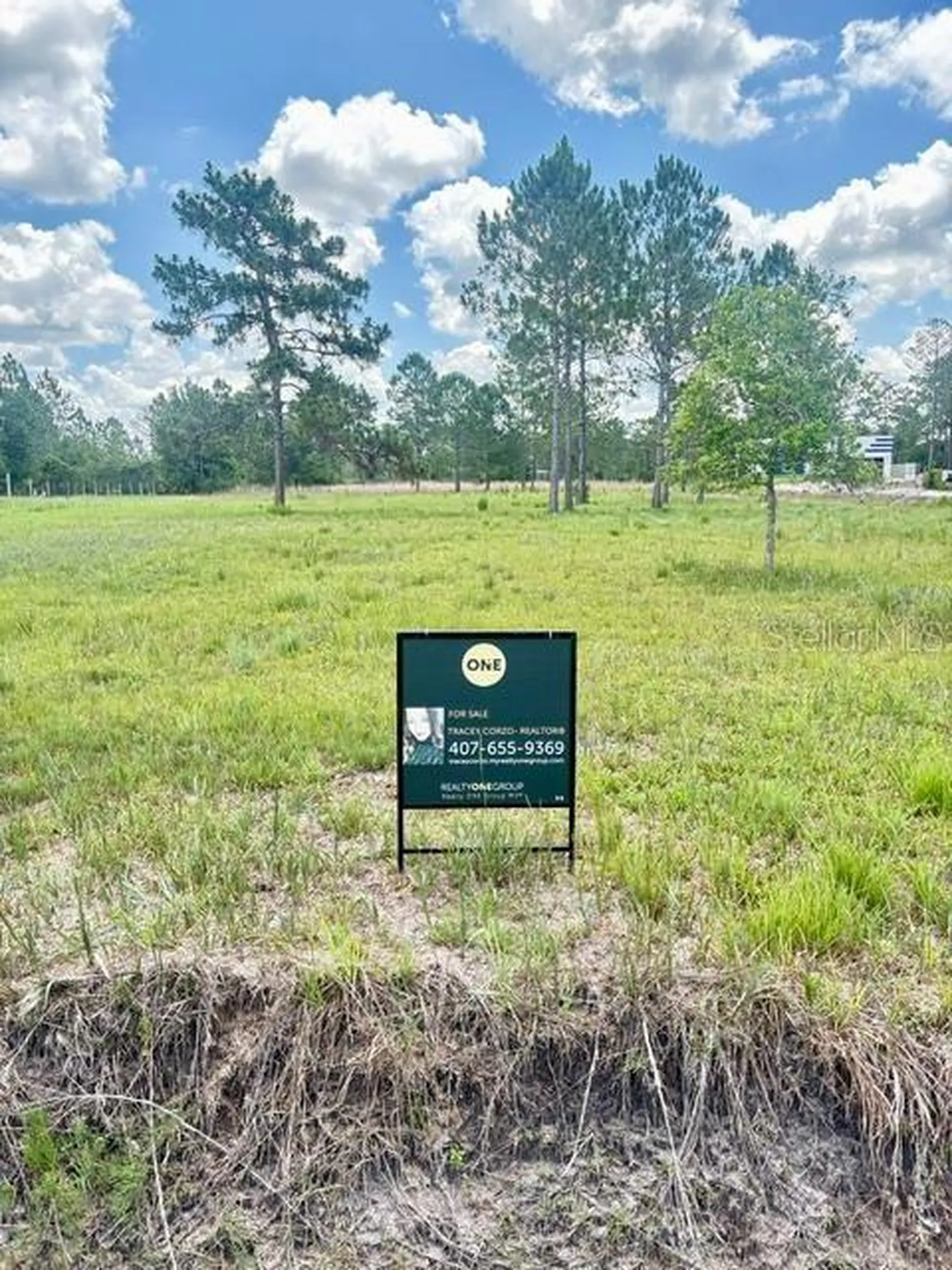 Caesar Avenue Orlando FL 32833