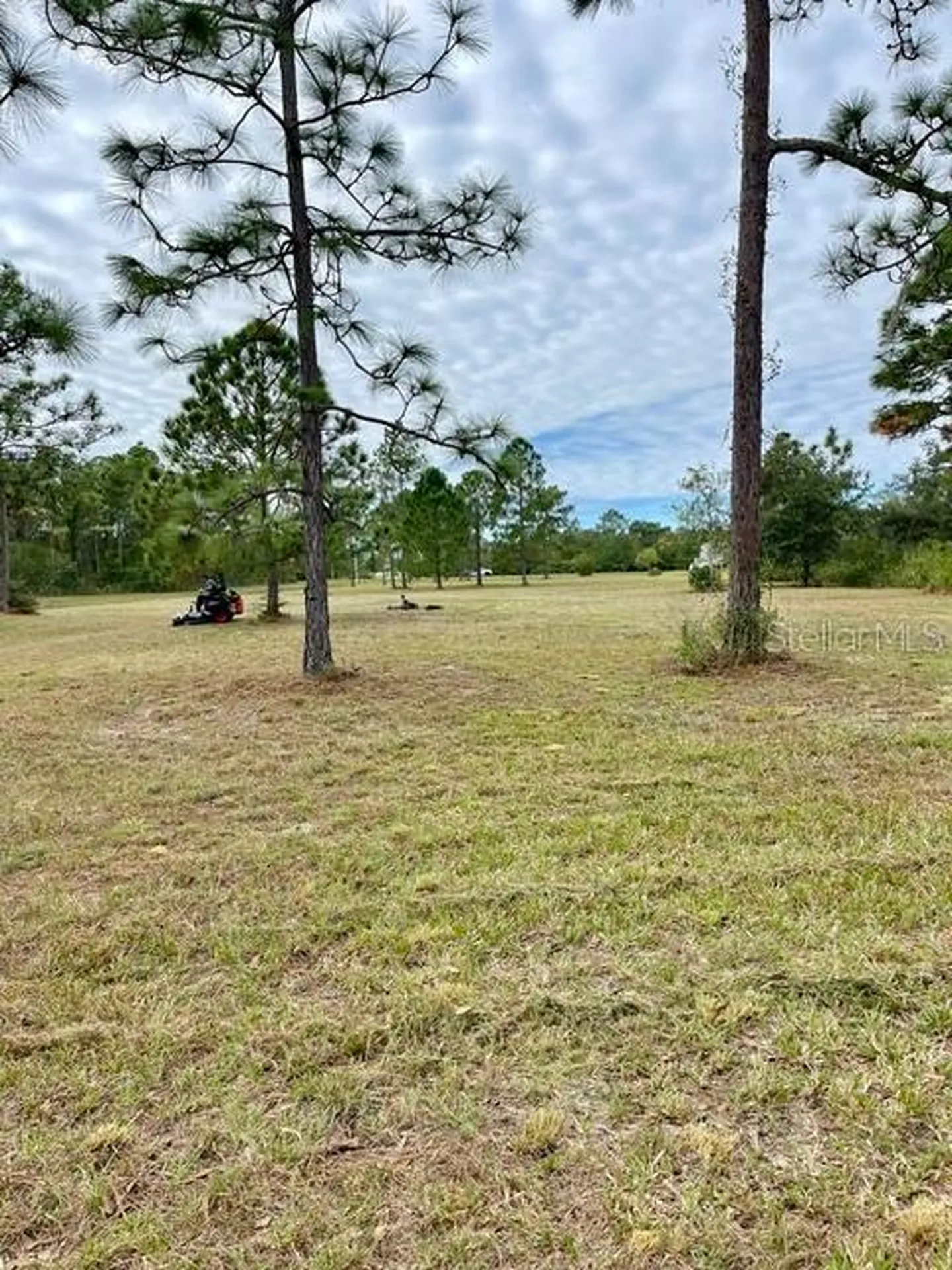 Caesar Avenue Orlando FL 32833