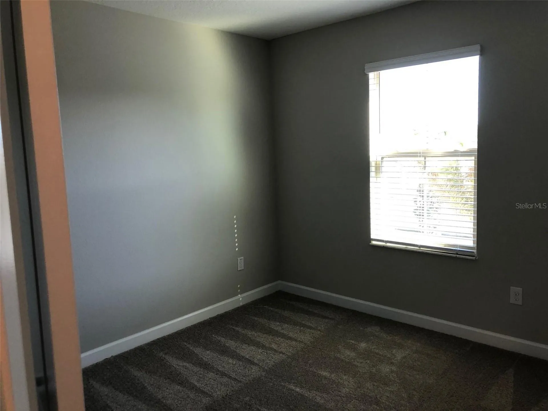 10056 Corso Milano Drive Tampa FL 33625