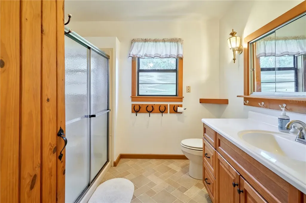 29953 Briarthorn Loop Wesley Chapel FL 33545