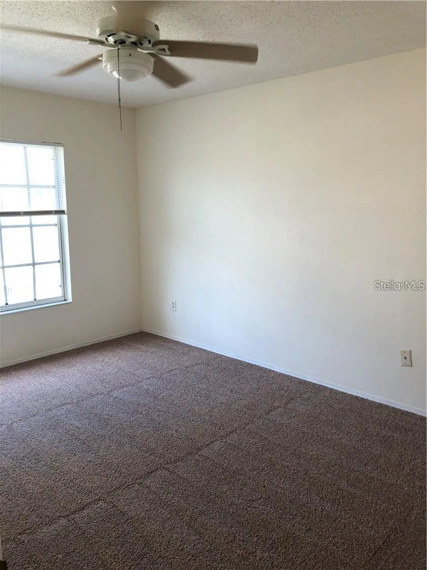 1735 Fluorshire Drive Brandon FL 33511