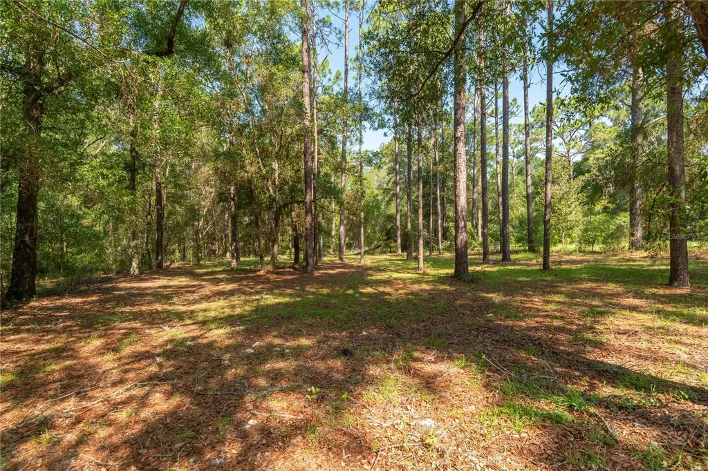 5200 SW 199th Court Dunnellon FL 34431