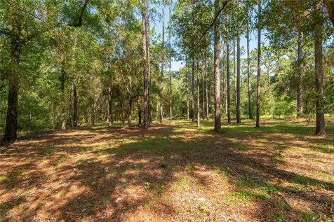 5200 SW 199th Court Dunnellon FL 34431