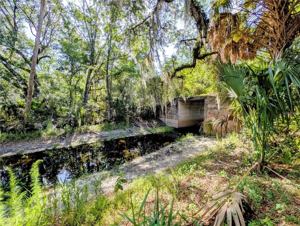 0 N Toro Drive Inverness FL 34453