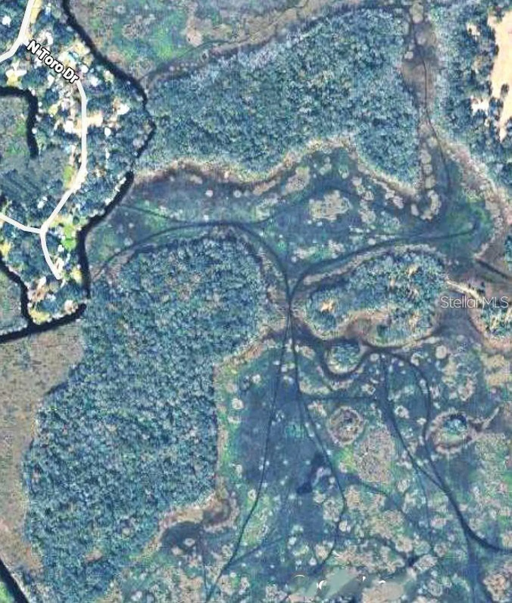 0 N Toro Drive Inverness FL 34453